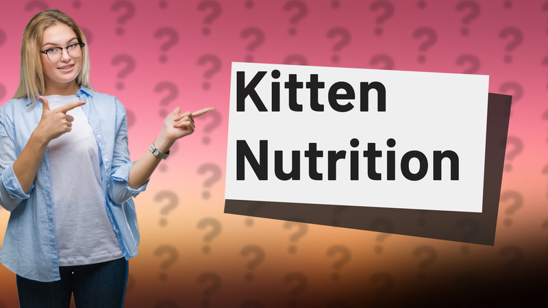Kitten Nutrition