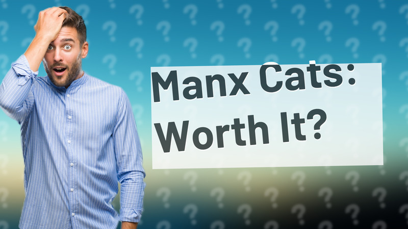 Manx Cats: Worth It?