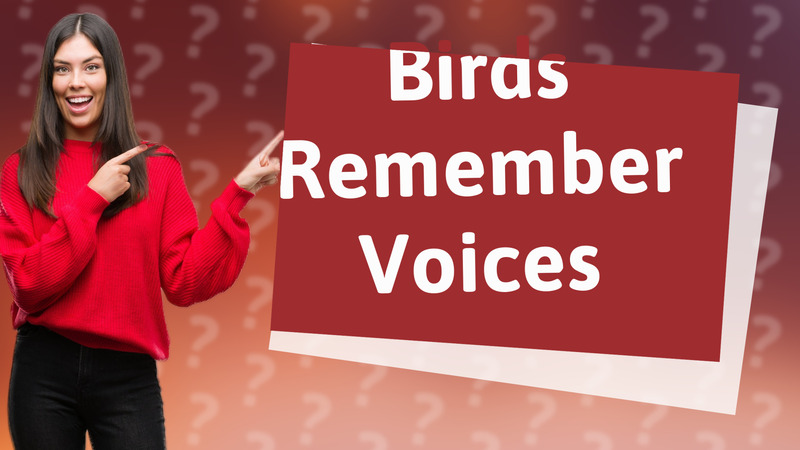 Birds Remember Voices