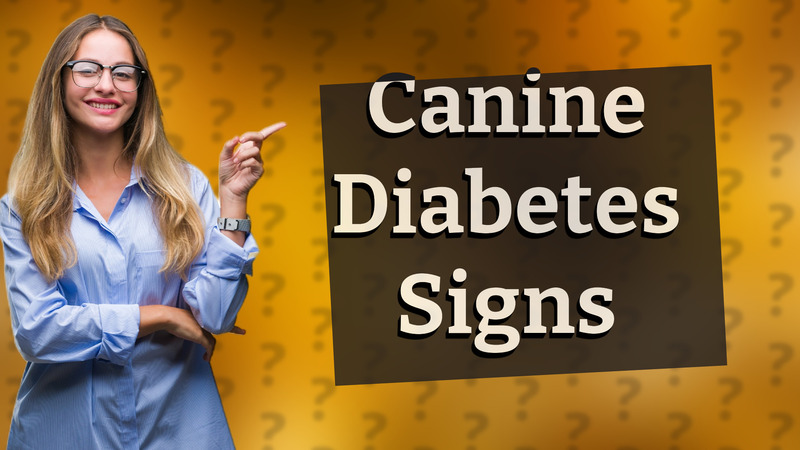 Canine Diabetes Signs