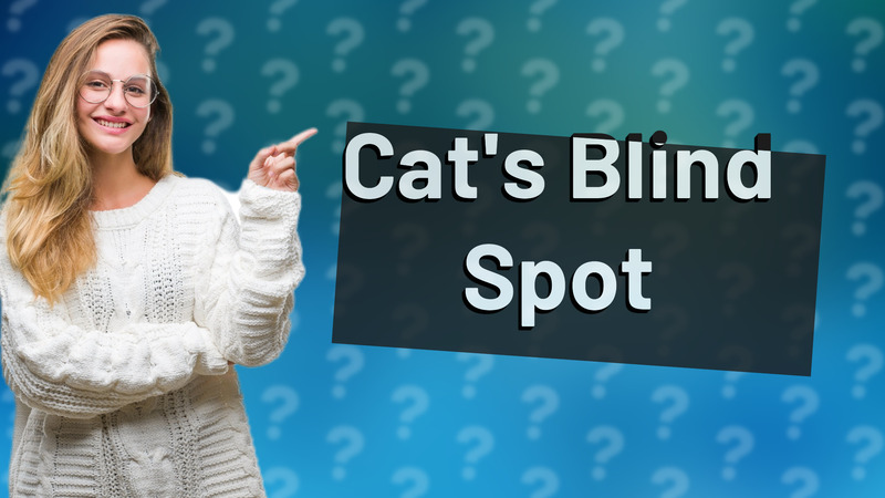 Cat's Blind Spot