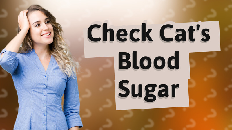 Check Cat's Blood Sugar