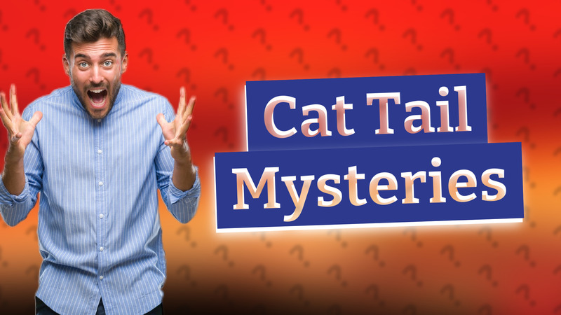 Cat Tail Mysteries