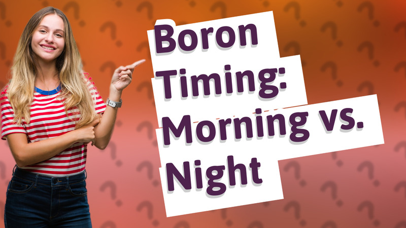 Boron Timing: Morning vs. Night