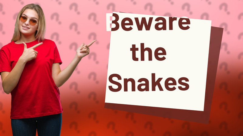 Beware the Snakes