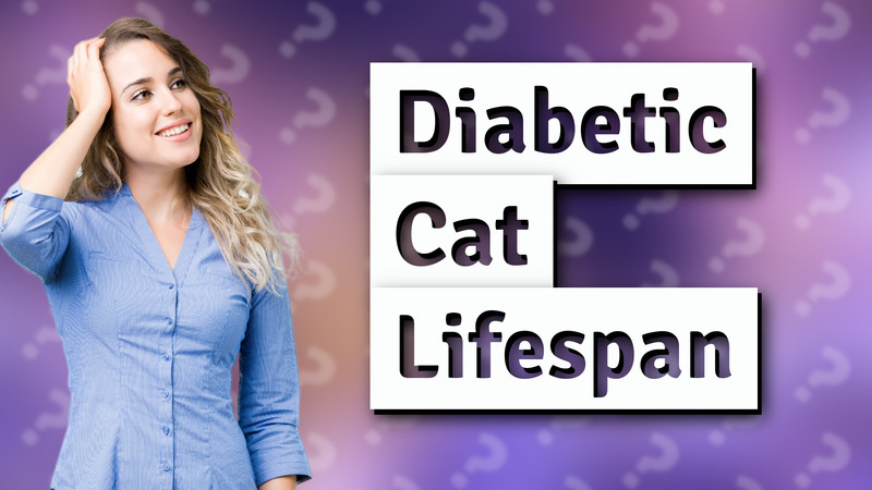 Diabetic Cat Lifespan