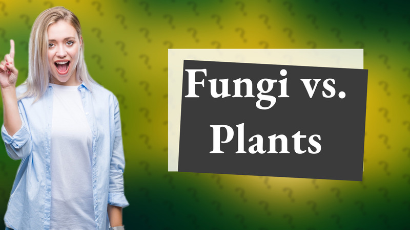 Fungi vs. Plants