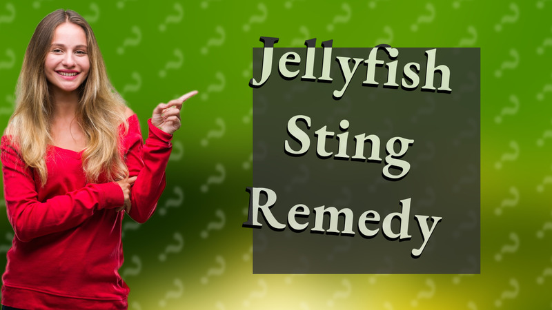 Jellyfish Sting Remedy