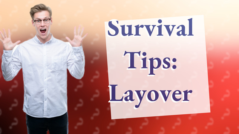 Survival Tips: Layover