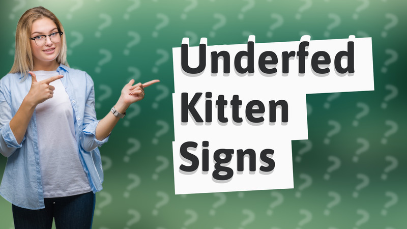 Underfed Kitten Signs