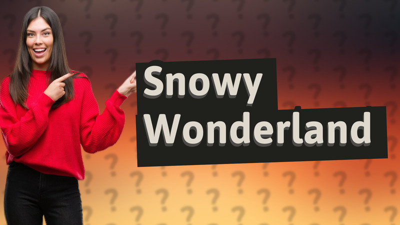 Snowy Wonderland