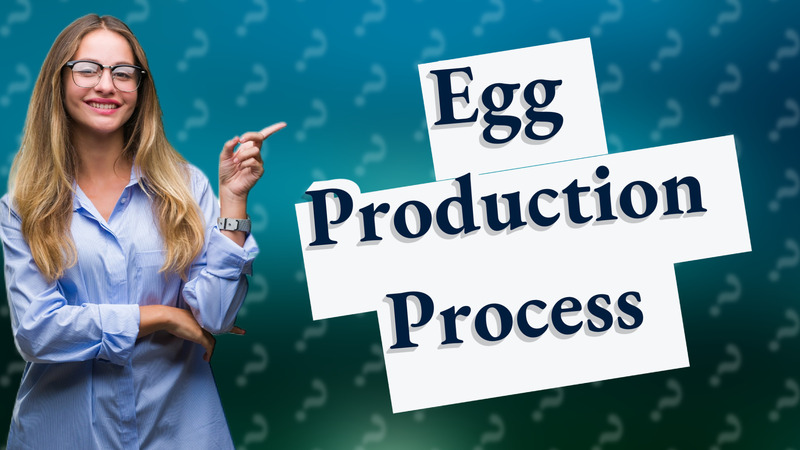 Egg Production Process
