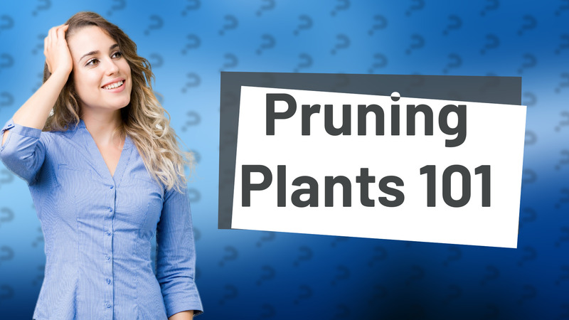 Pruning Plants 101
