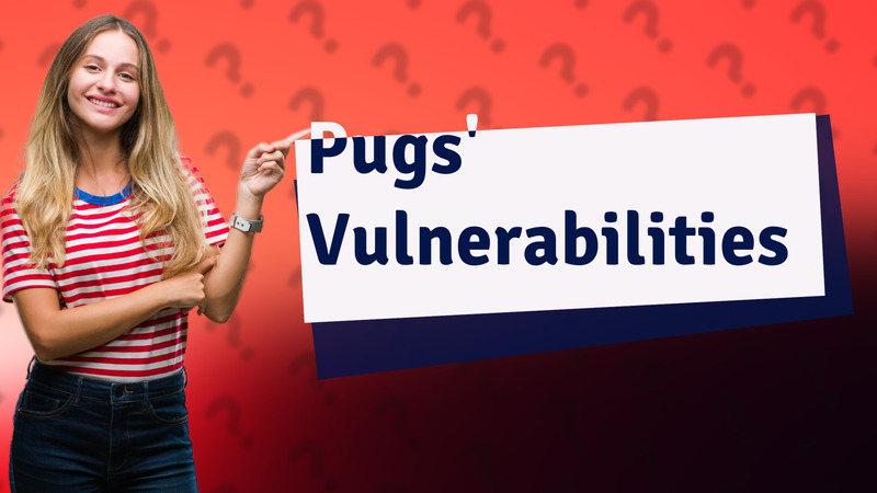 Pugs' Vulnerabilities
