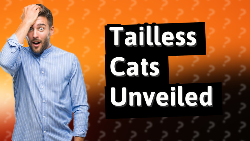 Tailless Cats Unveiled