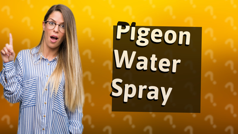 Pigeon Water Spray