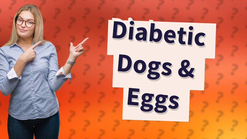 Diabetic Dogs & Eggs