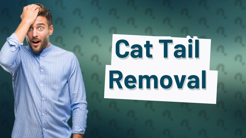 Cat Tail Removal