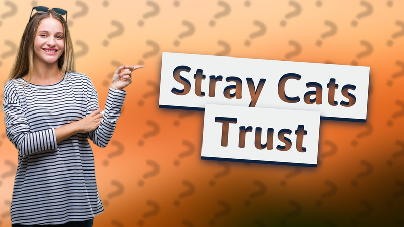 Stray Cats Trust
