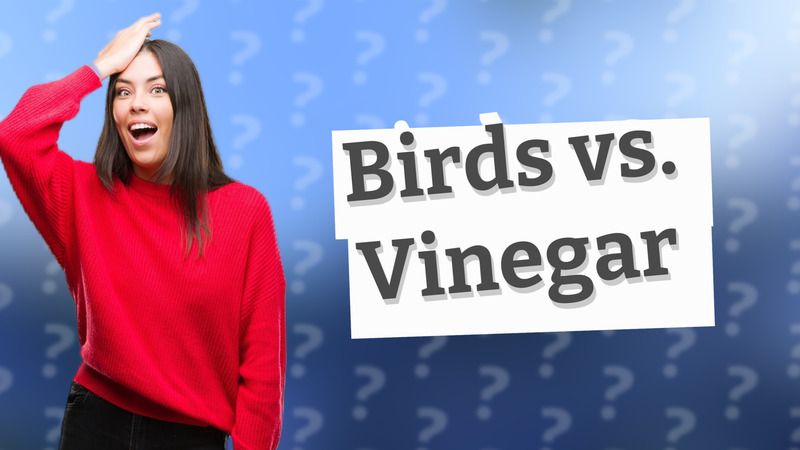 Birds vs. Vinegar