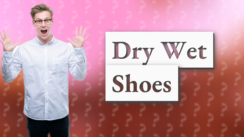 Dry Wet Shoes