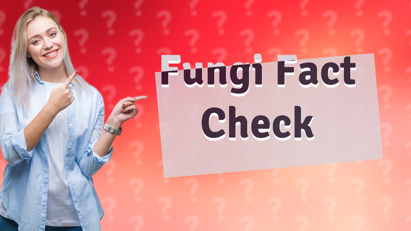 Fungi Fact Check