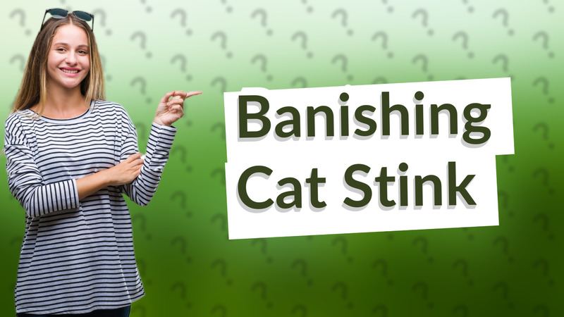 Banishing Cat Stink