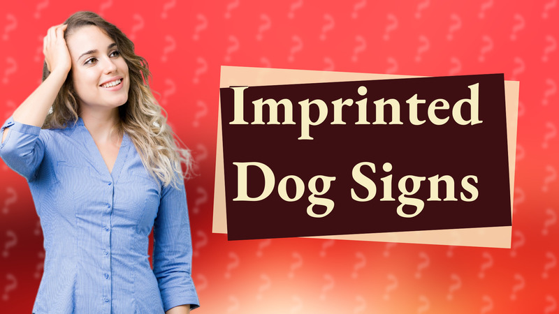Imprinted Dog Signs