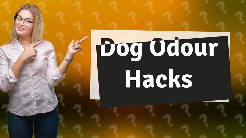 Dog Odour Hacks