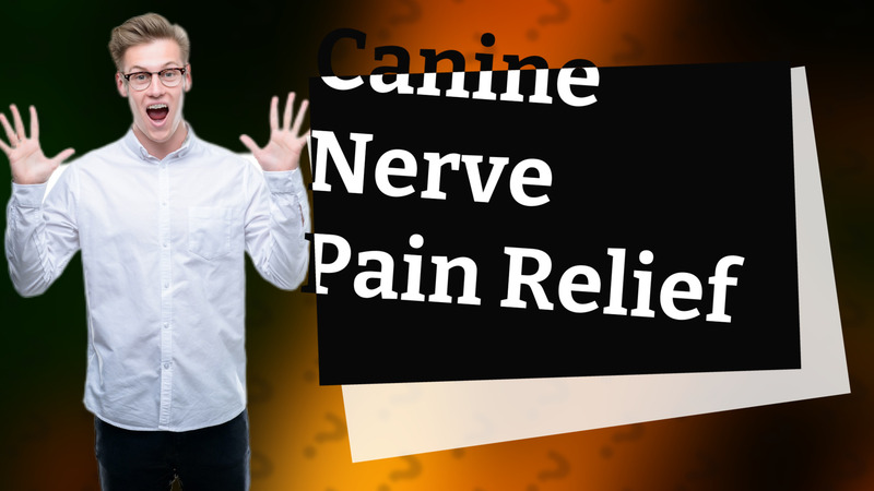 Canine Nerve Pain Relief