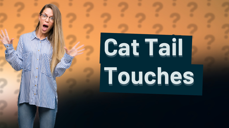 Cat Tail Touches