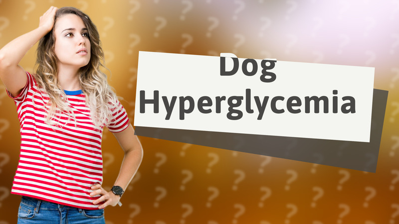 Dog Hyperglycemia