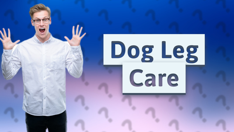 Dog Leg Care