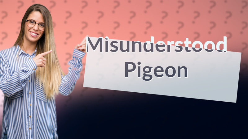 Misunderstood Pigeon