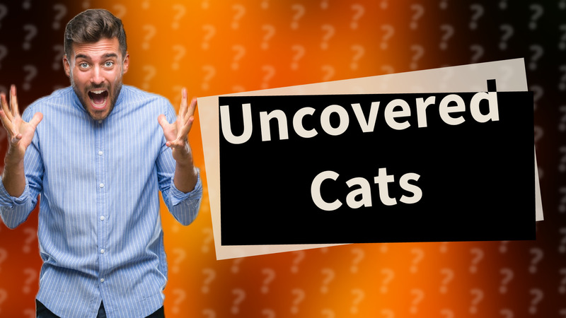Uncovered Cats