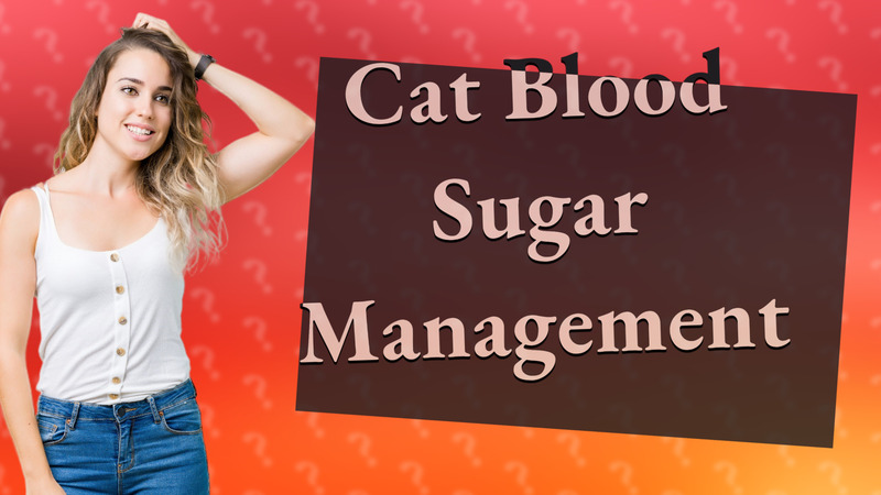 Cat Blood Sugar Management