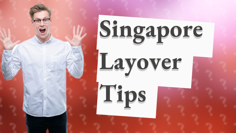Singapore Layover Tips