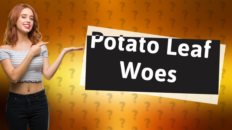 Potato Leaf Woes