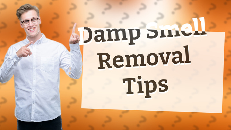 Damp Smell Removal Tips