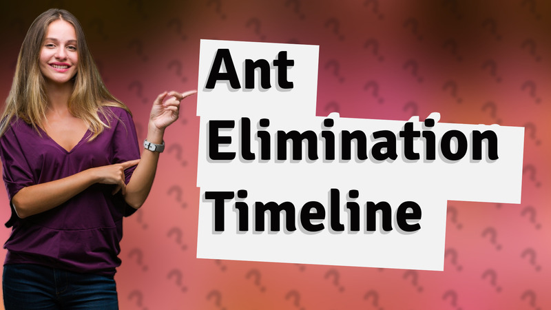 Ant Elimination Timeline