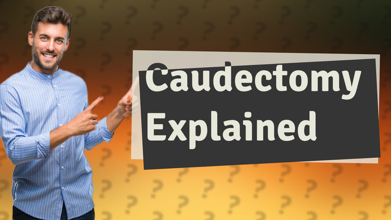 Caudectomy Explained