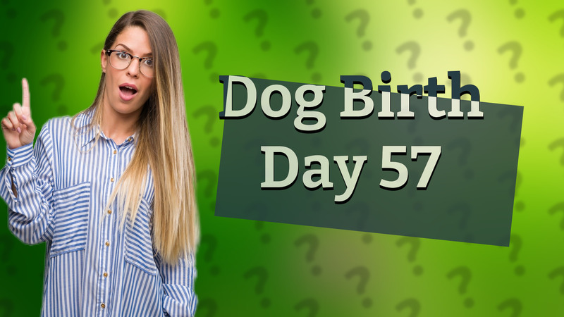 Dog Birth Day 57