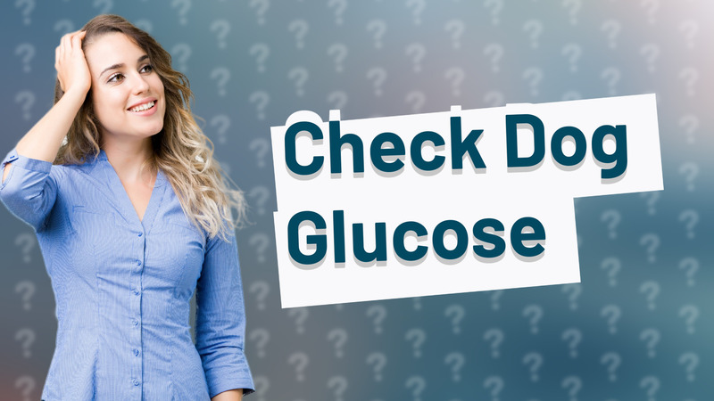 Check Dog Glucose