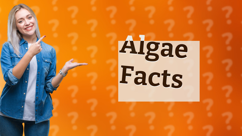 Algae Facts