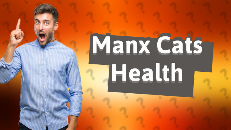 Manx Cats Health