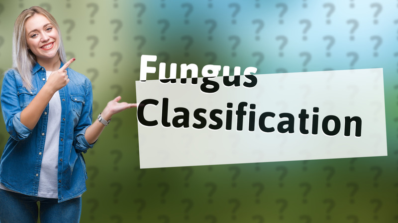 Fungus Classification