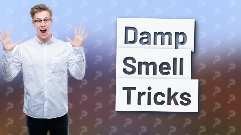 Damp Smell Tricks