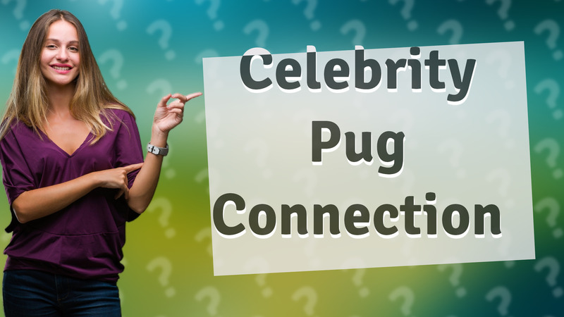 Celebrity Pug Connection
