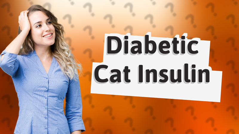 Diabetic Cat Insulin