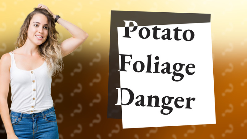Potato Foliage Danger
